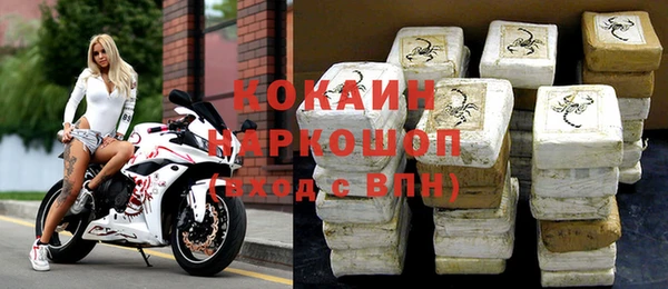 гашик Алзамай