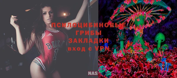 гашик Алзамай